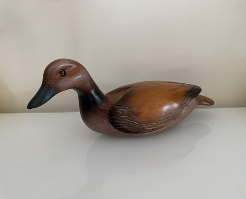 Feathers gallery knysna duck - knysna,