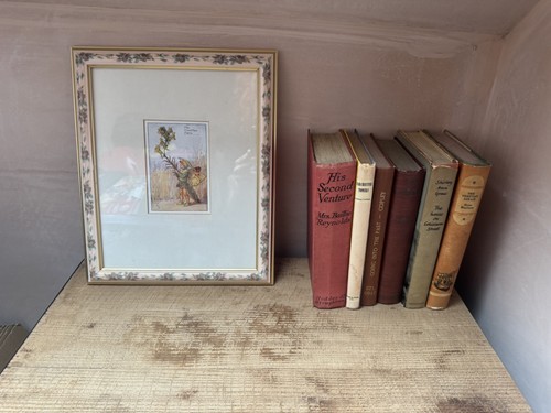 Cicely mary barker toadflax - mary,