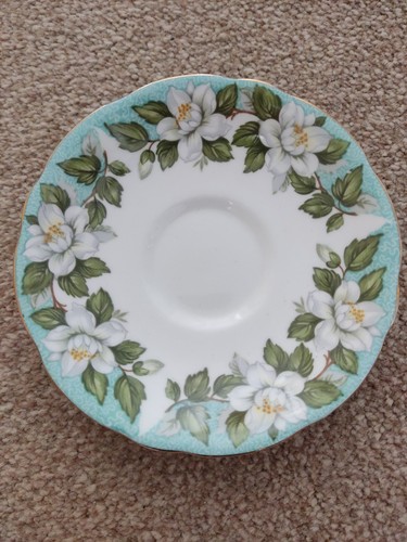 Montrose gladstone saucer bone - gladstone,