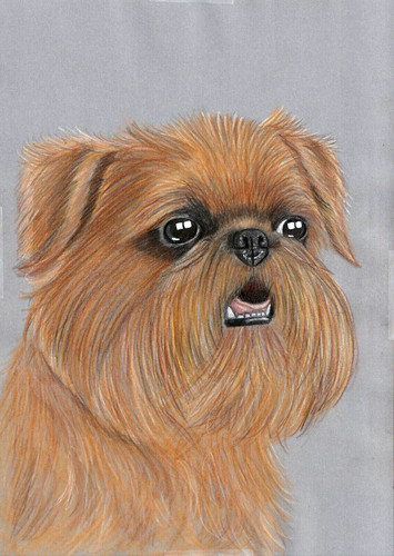 Original color pencil artwork - original,