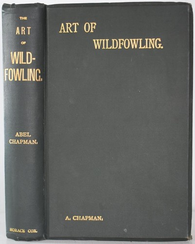 First lessons the art of - lessons, in