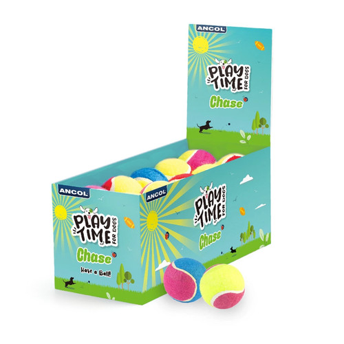 Ancol playtime chase - ancol, dog