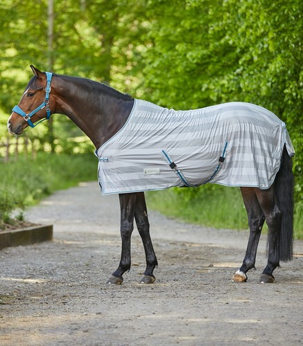 Horse fly rug - horse, sheet