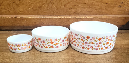 Set vintage arcopal - set, 3