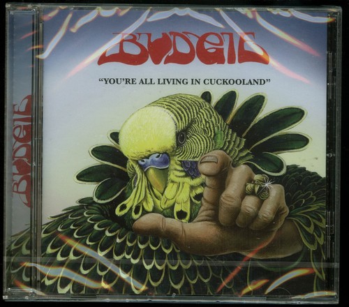 Budgie you all living in - you're,