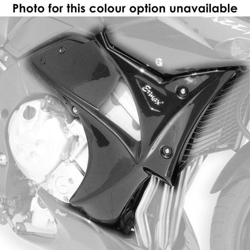 Ermax fairing lowers - lowers, unpainted