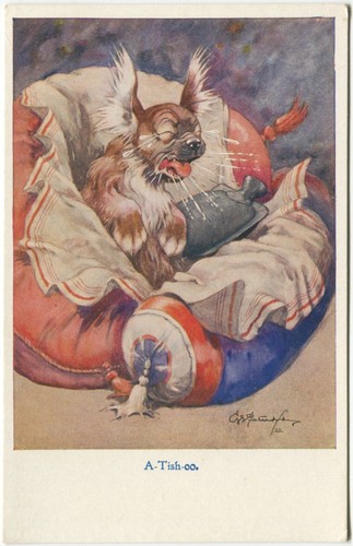 Bonzo pekingese tish - pekingese,, a-tish-oo