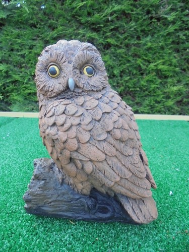 Little owl garden - owl,
