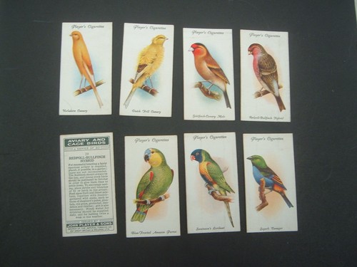 Player aviary and cage - and,