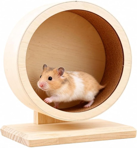 Wooden hamster wheel - wheel, silent