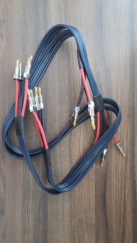 Cable talk biamp speaker - 3.1,