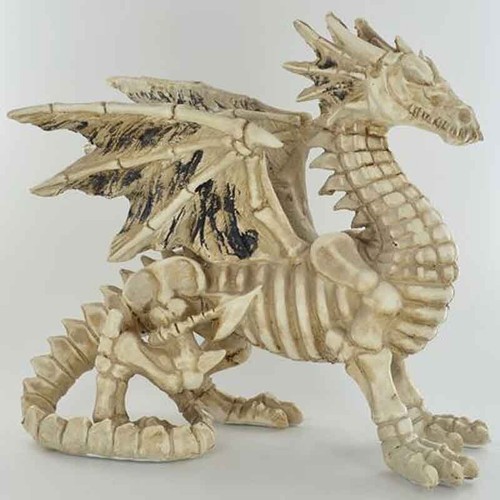 Fantasy dragon skeleton - fantasy,