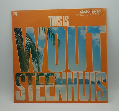 Wout steenhuis this is - steenhuis,