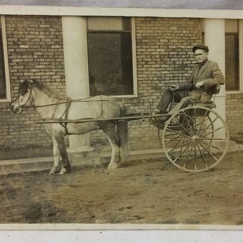 Vintage horse drawn - drawn, wagon