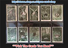 R.S. CHALLIS (BALDRIC) WILD BIRDS AT HOME 1935 (G) *PLEASE SELECT CARD*