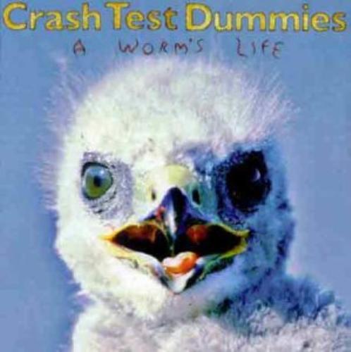 Crash test dummies - test, worms
