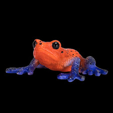 Poison Dart Tree Frog Toy 
