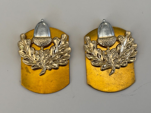 Cheshire regiment collar - cheshire,