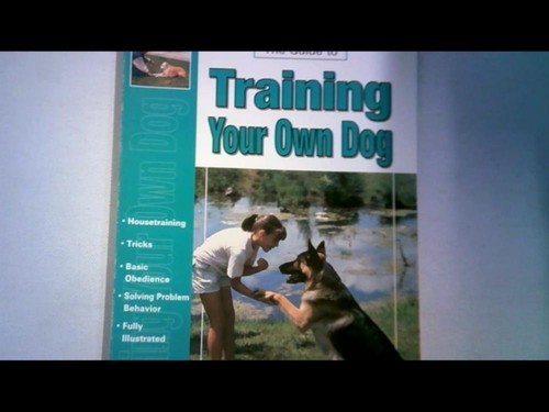 The guide training your - the, to: