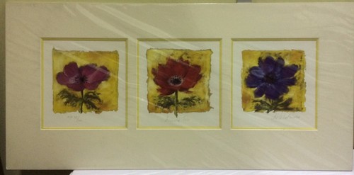 Nel whatmore anemone trio - -,