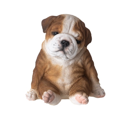 Sitting bulldog puppy 6 - -, inch
