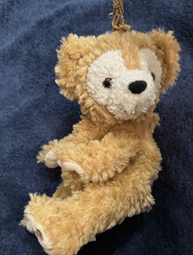 Disney duffy bear bag - disney, charm