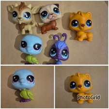 Little pet shops set - pet,