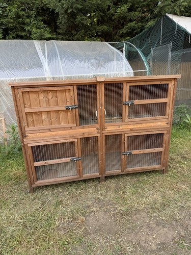 Chartwell guinea pig rabbit - chartwell, pig/rabbit