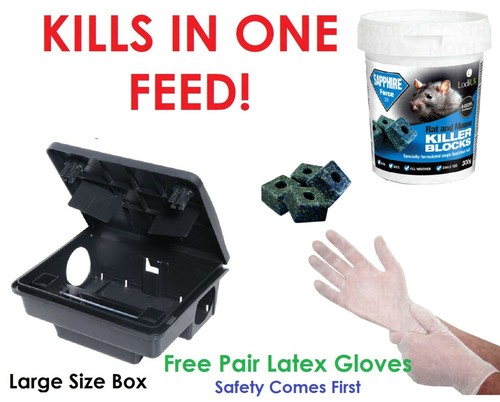 Rat box poison bait - rat, station