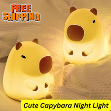 Cute capybara night - night, light