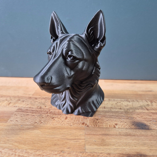 Dutch shepherd bust - dutch,