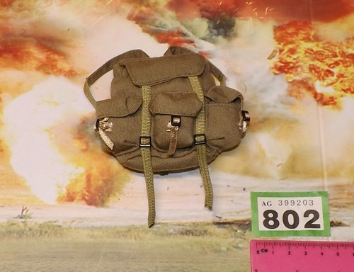 Scale vietnam back pack - back,