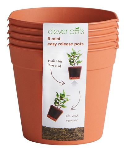 Home garden gardening easy - &,