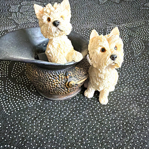 West highland white terrier - highland,