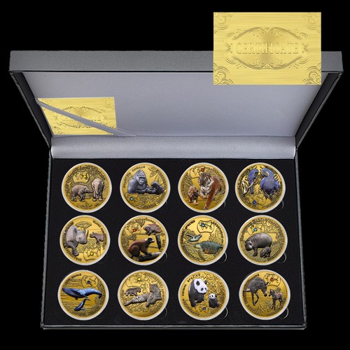 12pc box african - 12pc/box,