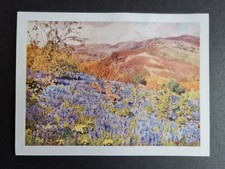 Antique 1908 print - Wild
