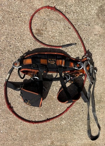 Treehog razorbak arborist - treehog,