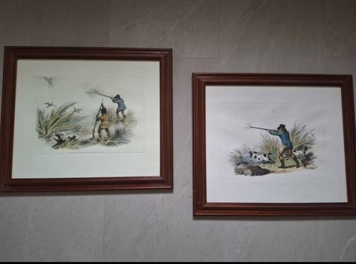Pair vintage framed duck - of,