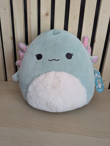 Bnwt axolotl squishmallow - bnwt,