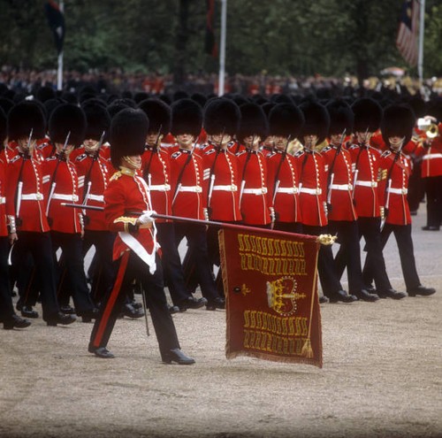 The 1st battalion grenadier - battalion,