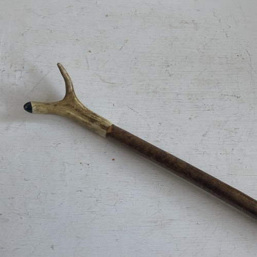 Antique thumstick walking cane - thumstick,