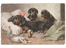C. Reichert Antique Postcard