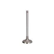 Intake valve fits - valve, fits:
