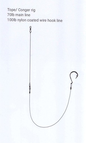 0 circle hook - no, 6/