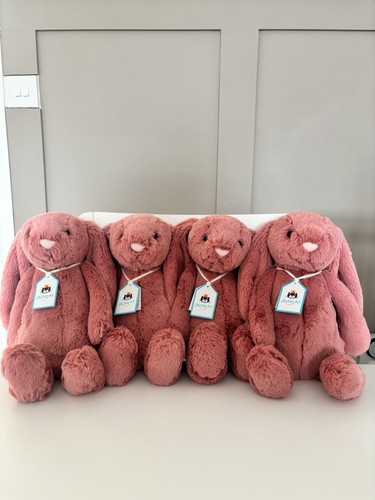 Bnwt retired jellycat - jellycat, sorrel