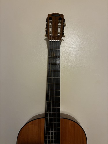Tatra classic acoustic guitar - tatra,