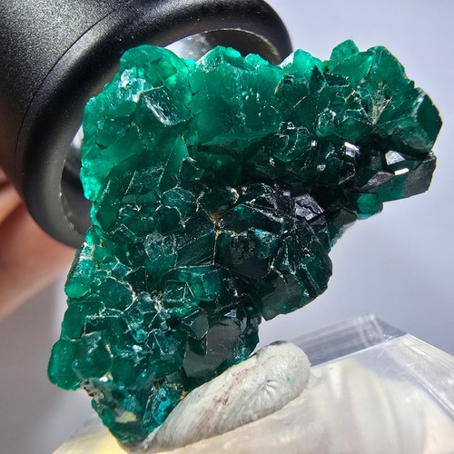 Rare dioptase stage - rare,