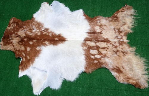 New goat hide rug hair - new, area