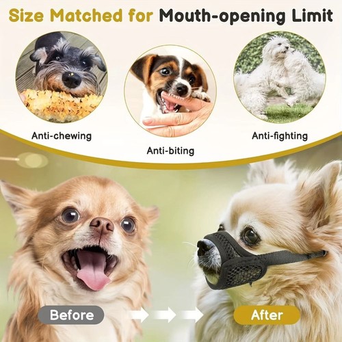 Mesh muzzle for short - mesh,