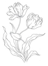 Embroidery Transfer Iron On Tulip Tulips Spring Flower Floral Garden 19 x 14cm